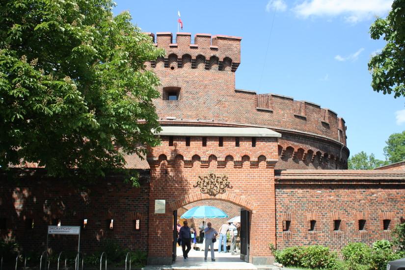 Amber Museum
