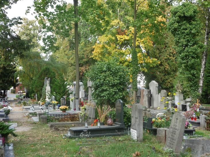 Jeżycki Cemetery