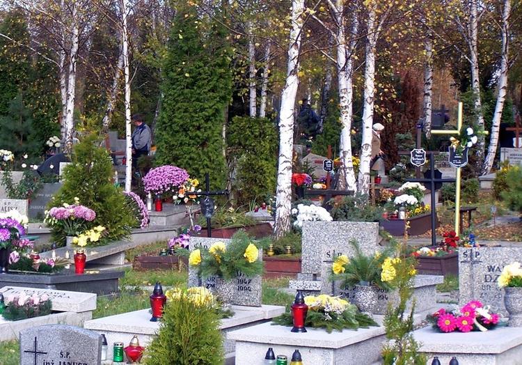 Central Muncipal Cemetery