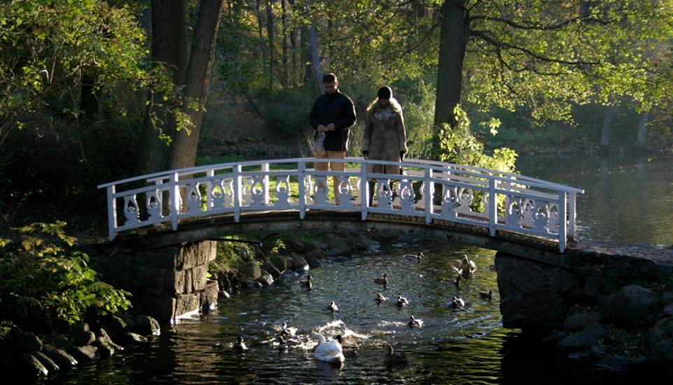 Botanical Park