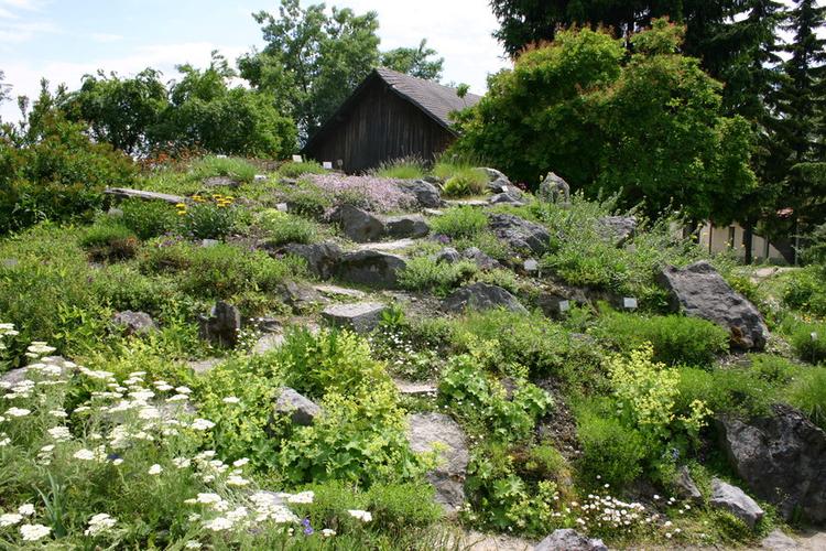 University Botanical Gardens