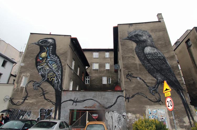 ROA Birds