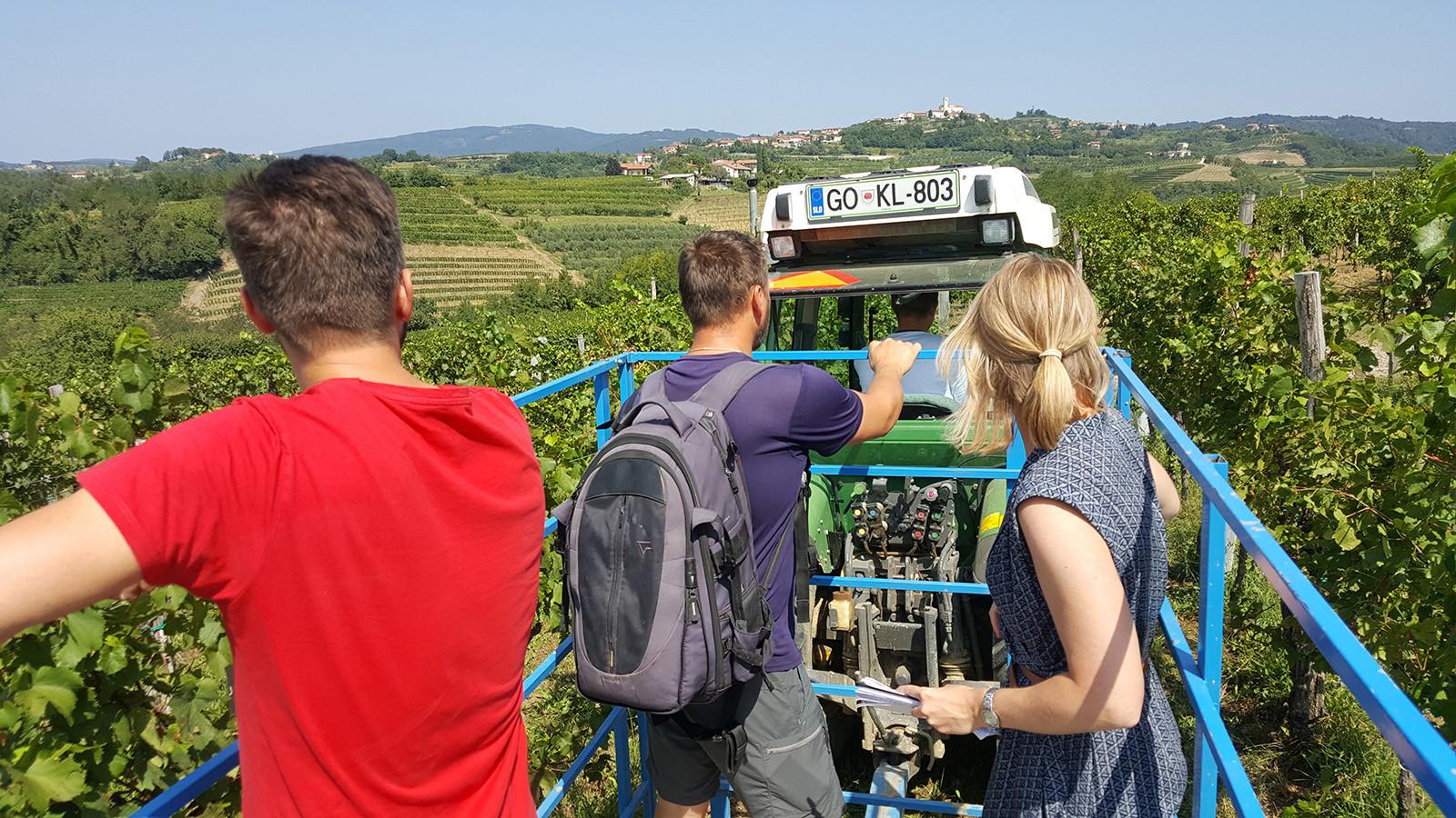 8 Unique Slovenian Wine Tasting Tours