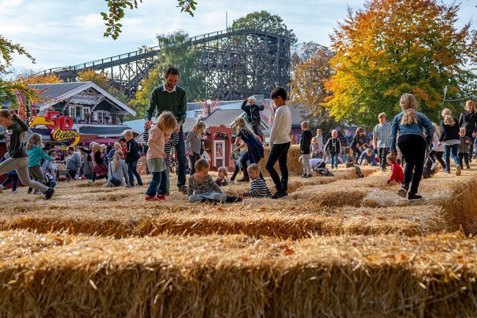 Best Activities for Children and Families