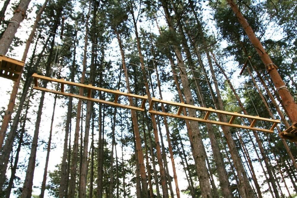 Adrenaline path
