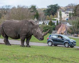 West Midland Safari Park