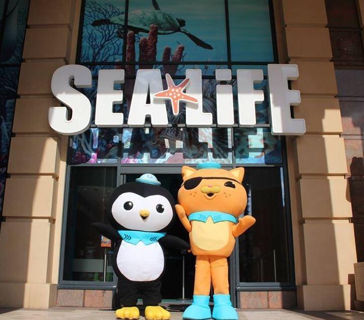 SEA LIFE Manchester