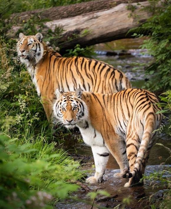 Top 5 for Kids & Families in Manchester