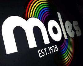 Moles