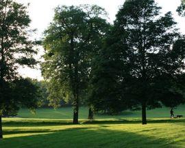 Roundhay Park