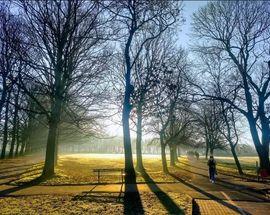 Woodhouse Moor