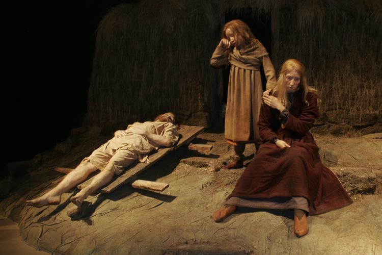 Saga Museum