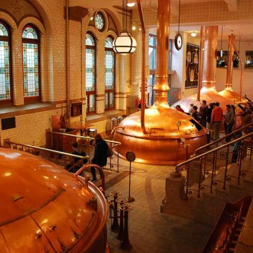 Heineken Experience