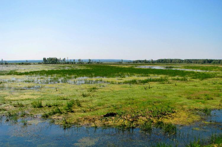 Warta River-Mouth National Park