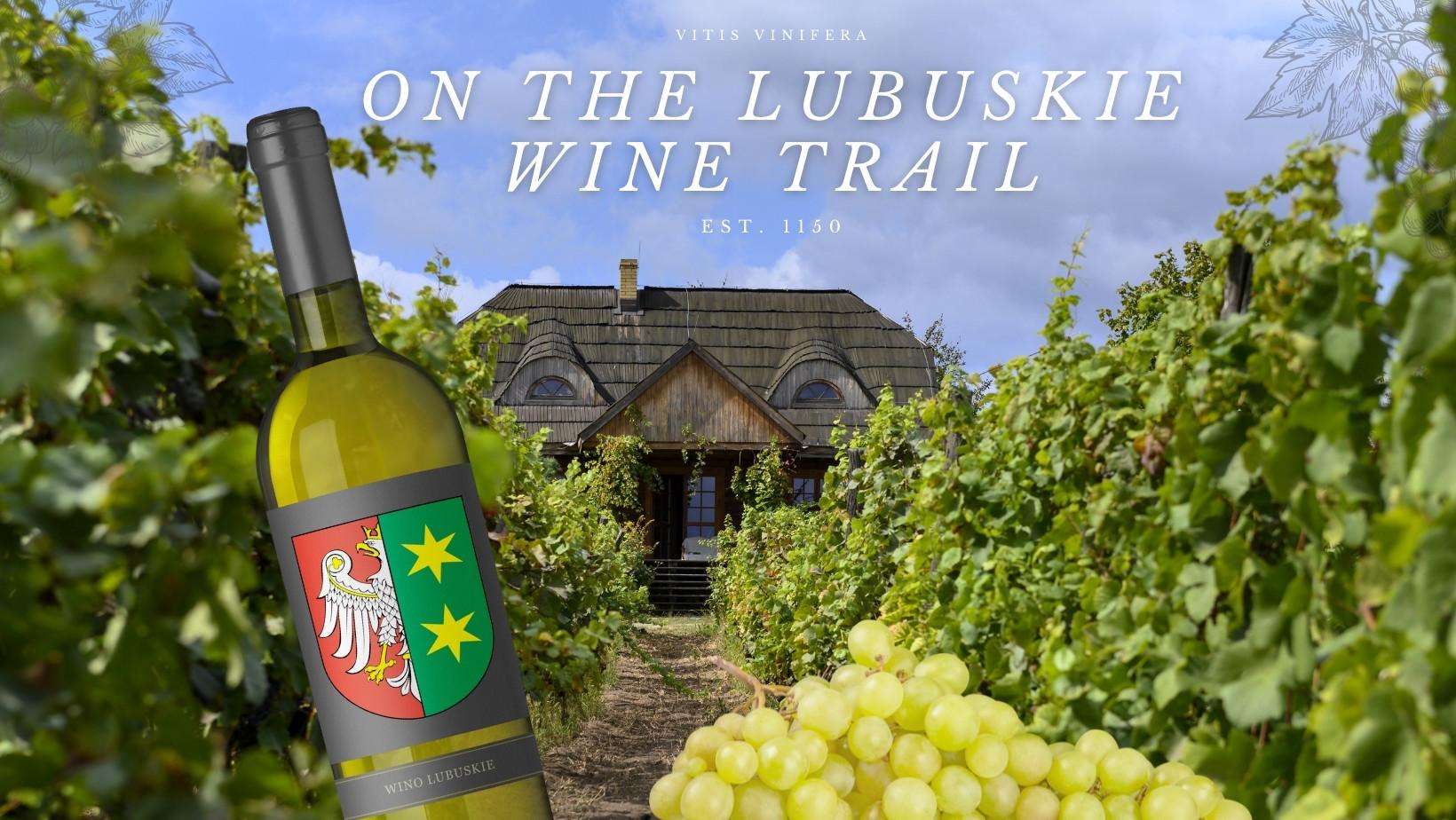 On the Lubuskie Wine Trail