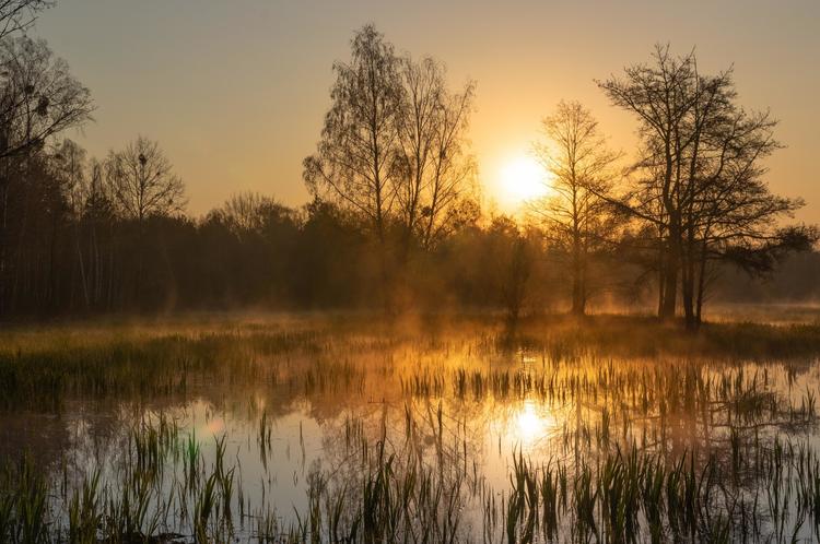 Kampinos National Park