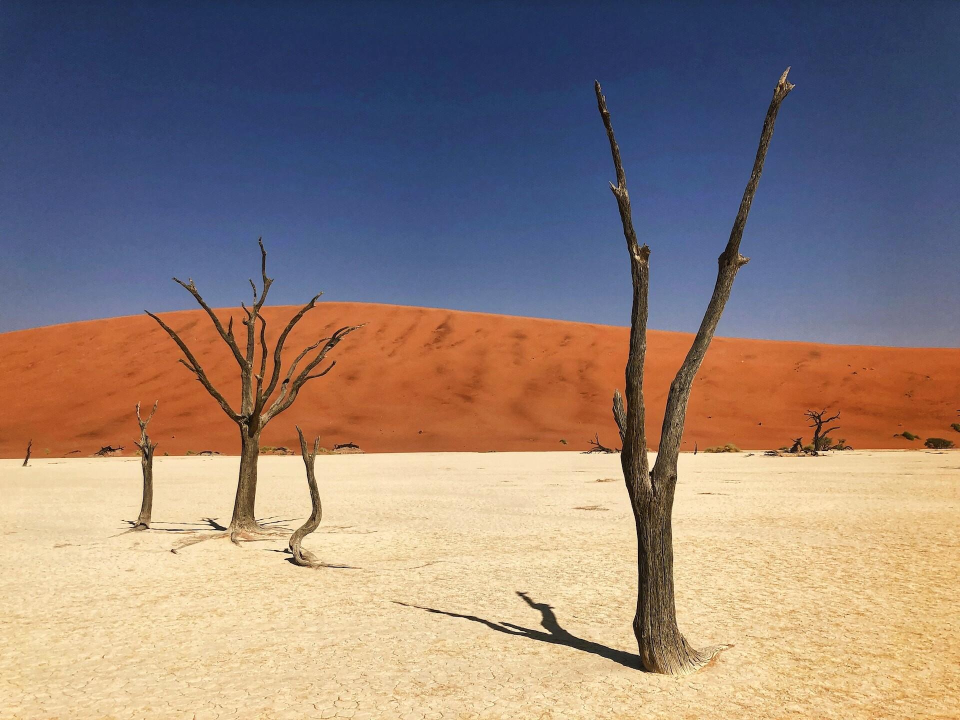 Five of the Most Magical Desert Destinations on Earth