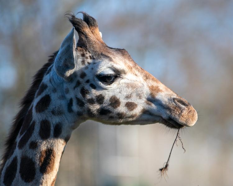 ORIENTARIUM ZOO ŁÓDŹ