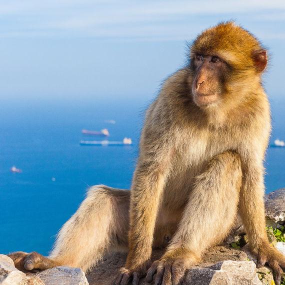 Gibraltar