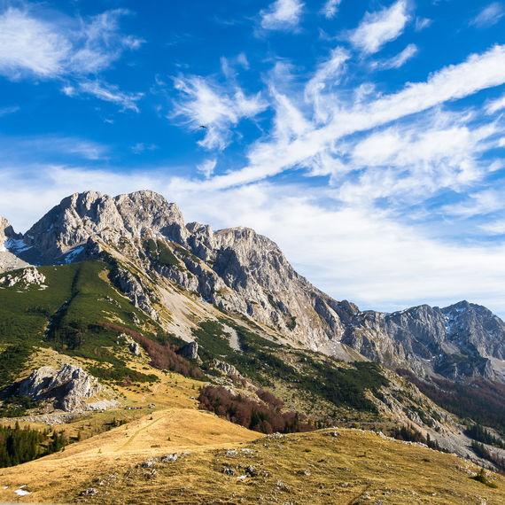 Foča