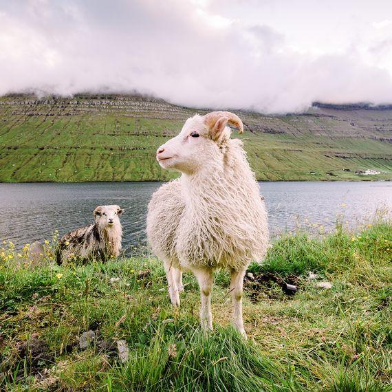 Faroe Islands