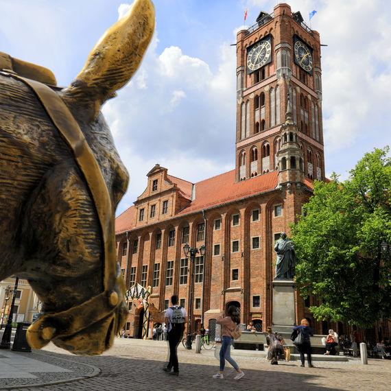 Toruń