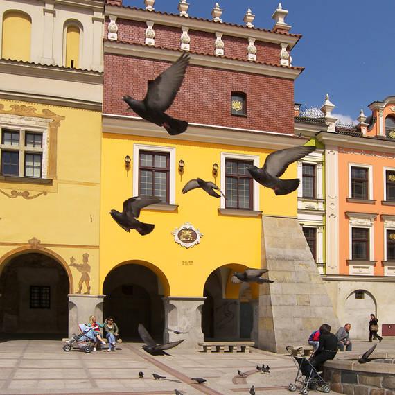 Tarnow
