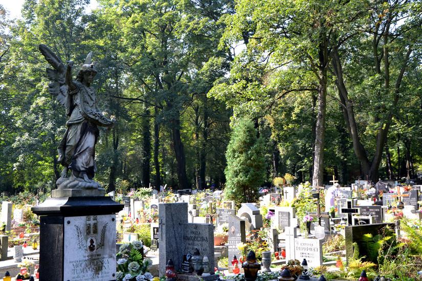 Evangelical Cemetary