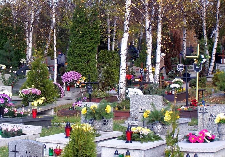 Central Muncipal Cemetery