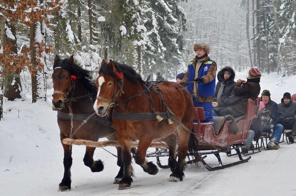 14 Things to Do in Winter In & Around Gdańsk!
