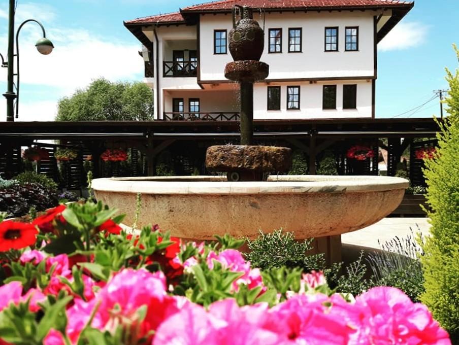 Hotel Gogov