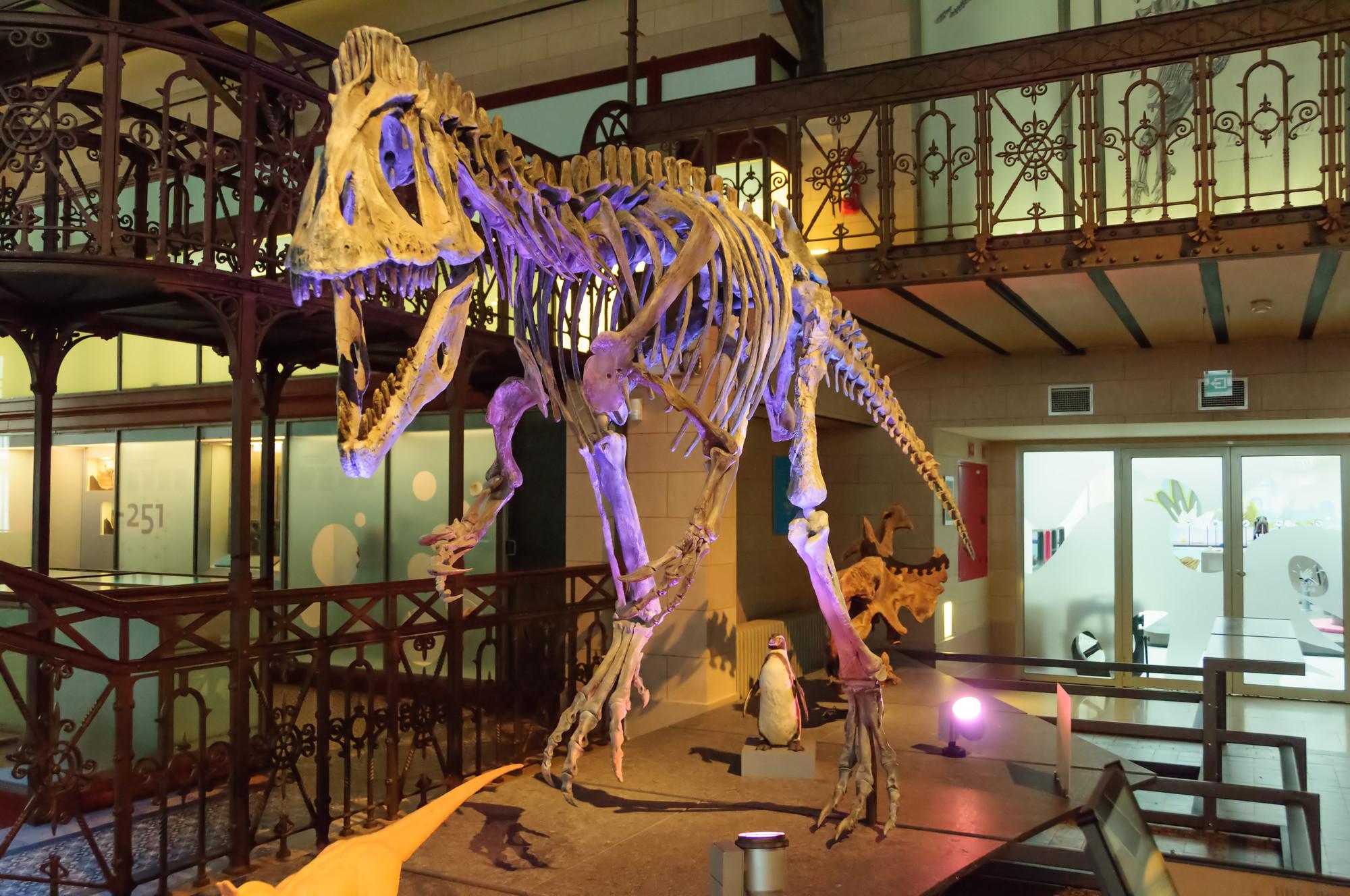 Best Museums & Galleries in Brussels