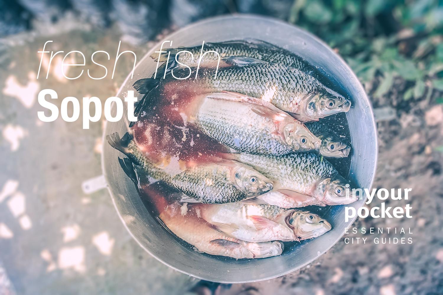 Fresh Fish on the Beach