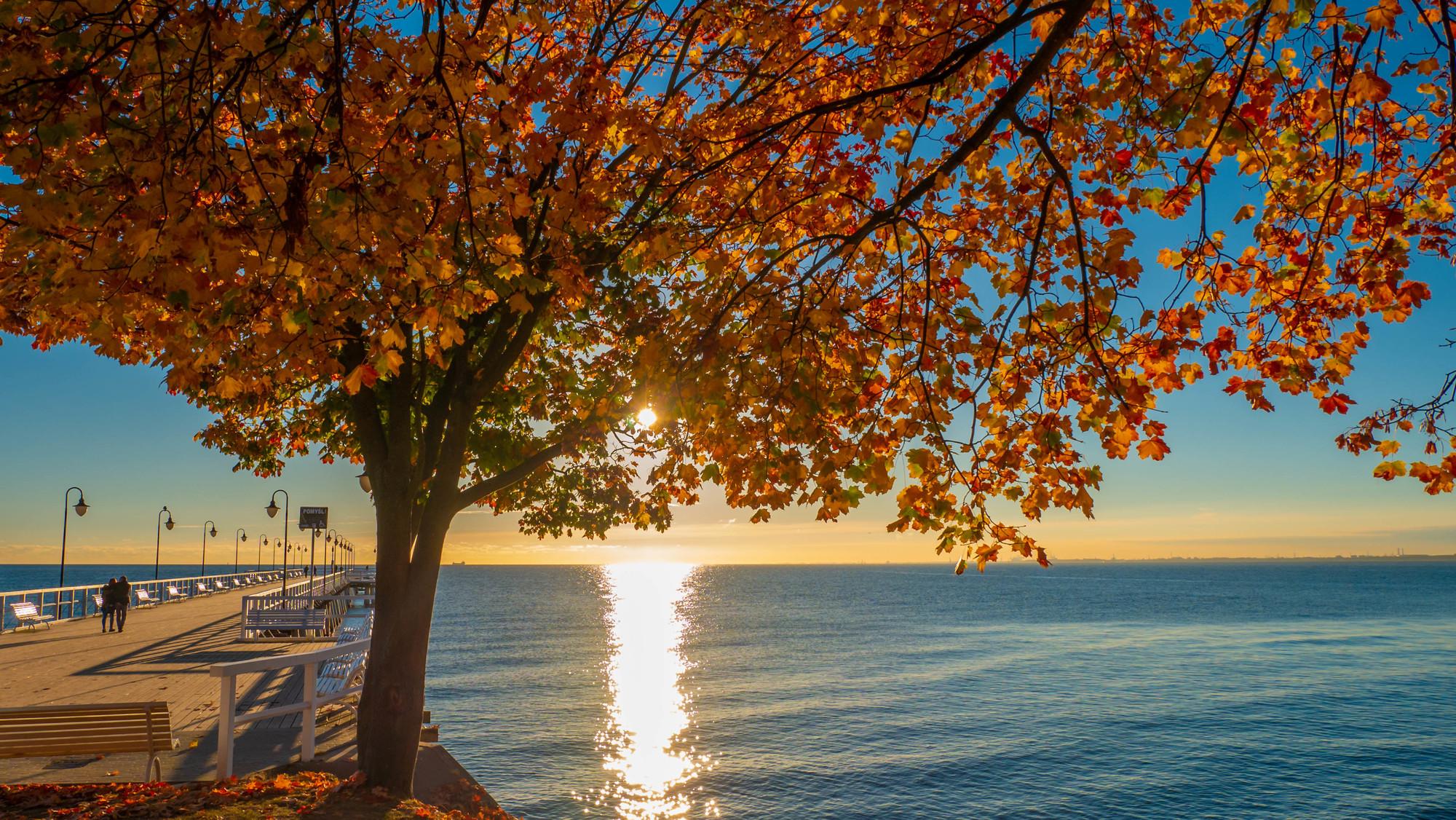 Gdynia Orłowo