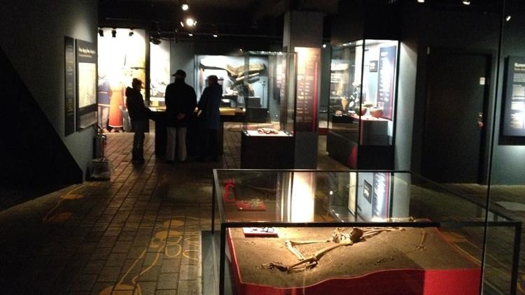 Viking Museum
