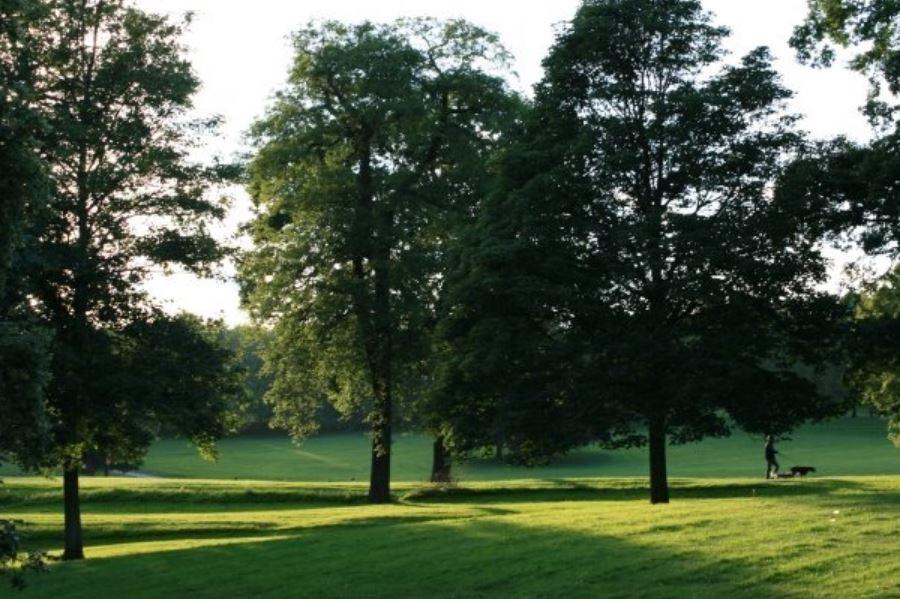 Best Parks & Gardens in Leeds