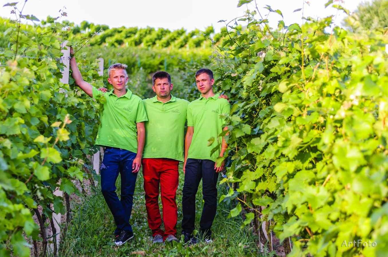 Dąbrówka Winery