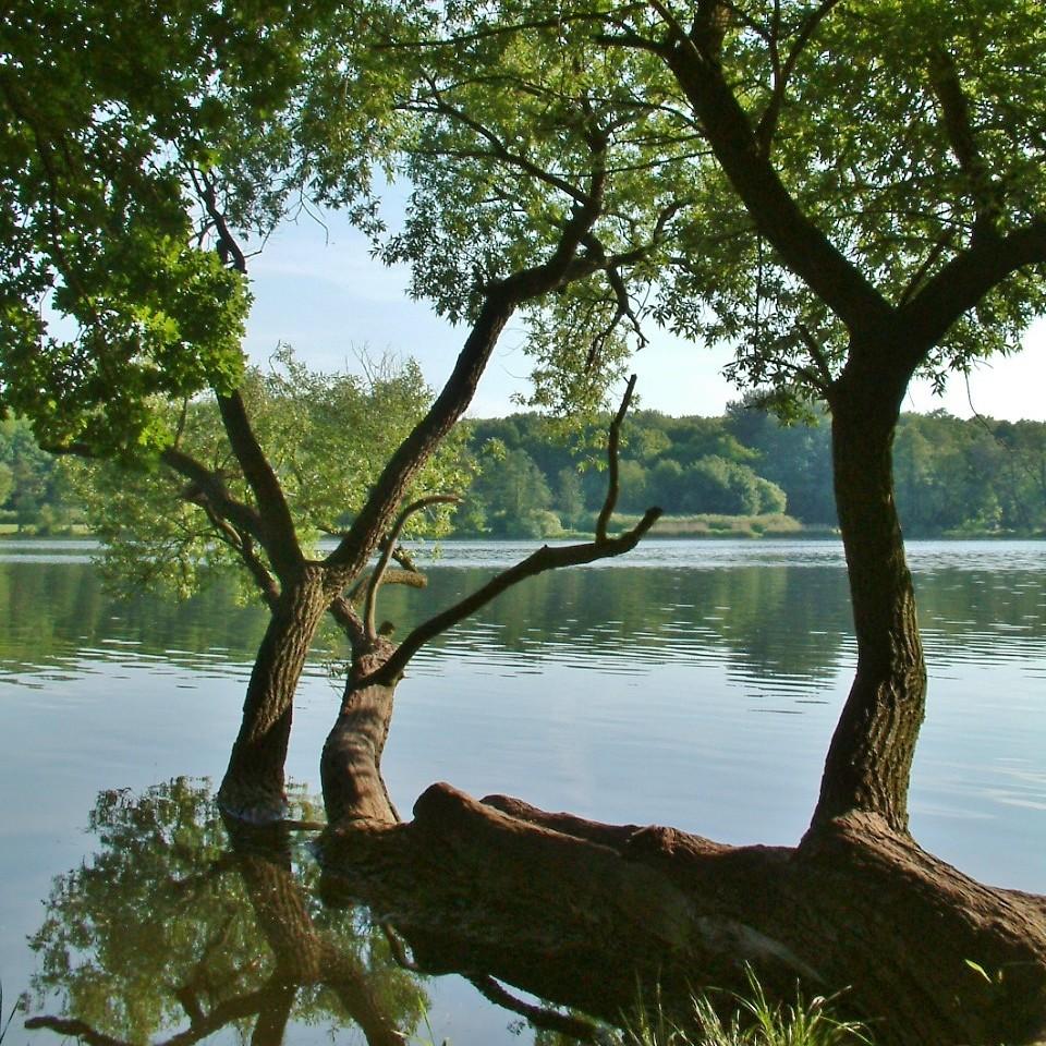 Poznań's Lake Rusałka