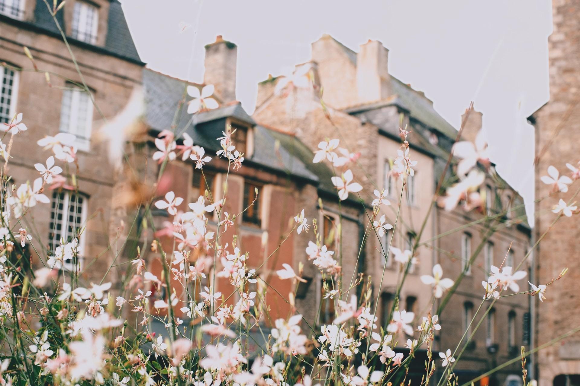 5 Best Places in the World for Stunning Flowers
