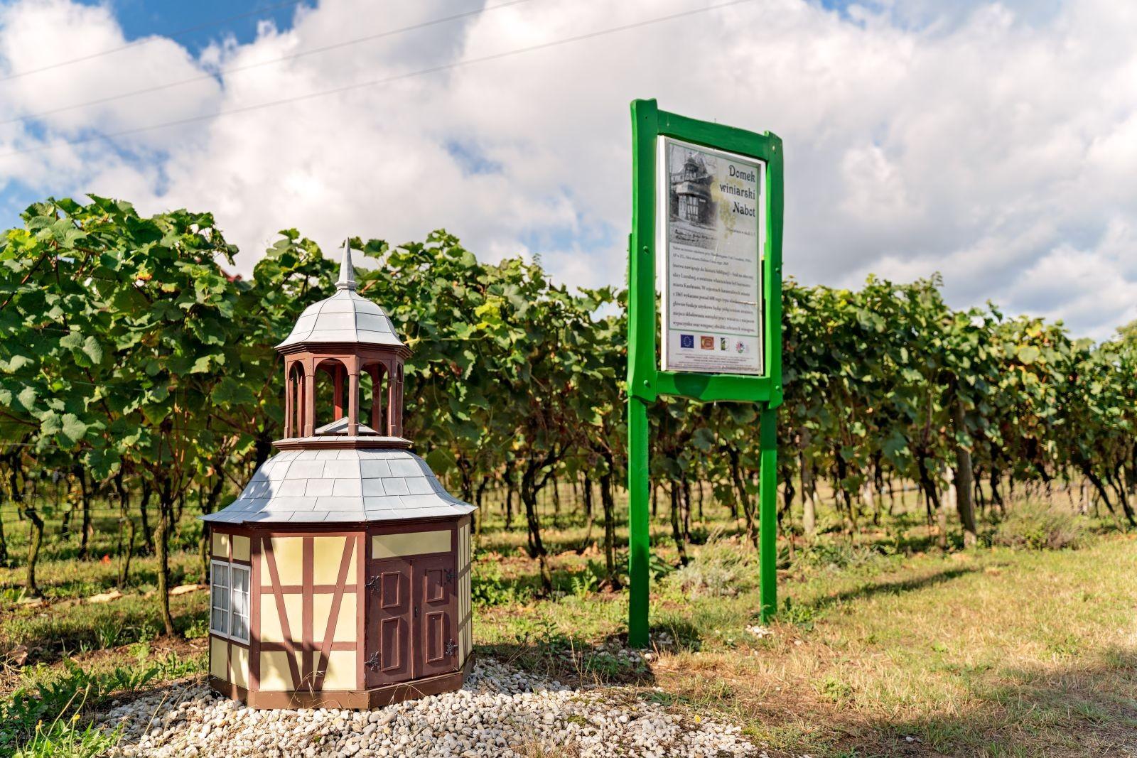 Julia Vineyard