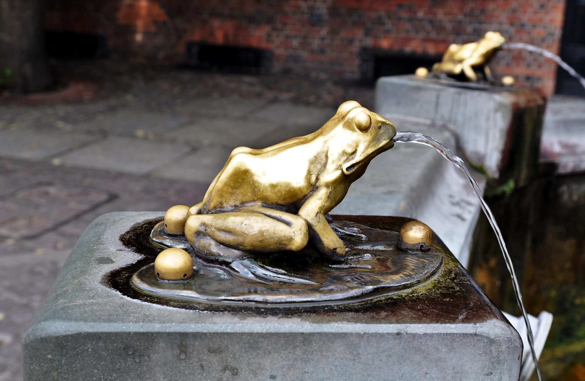 Frog Fountain & Raftsman Statue