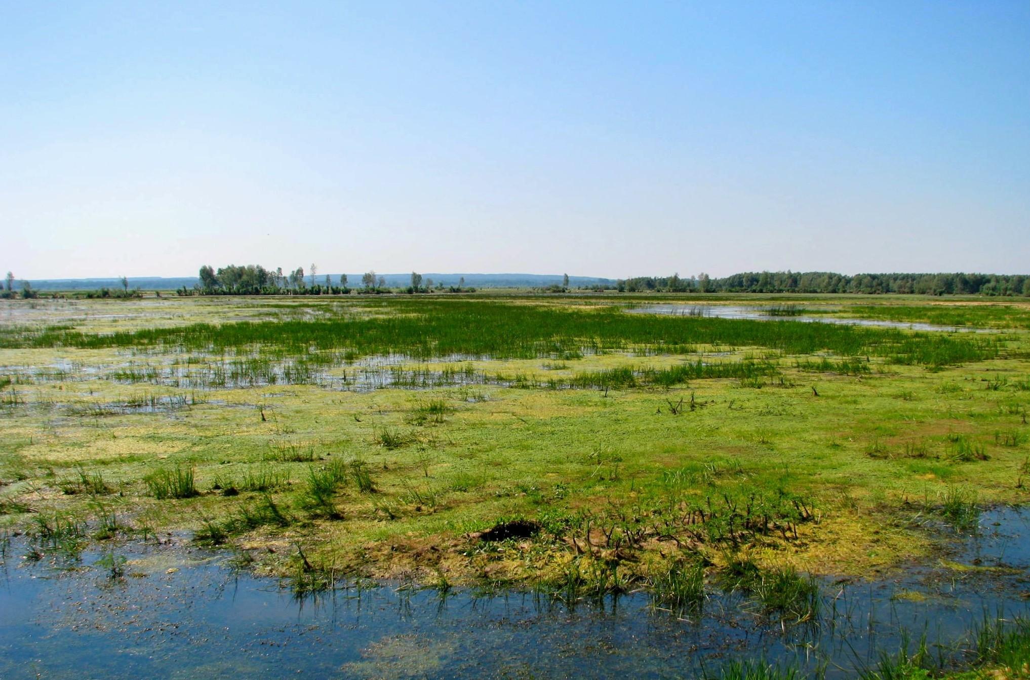 Warta River-Mouth National Park