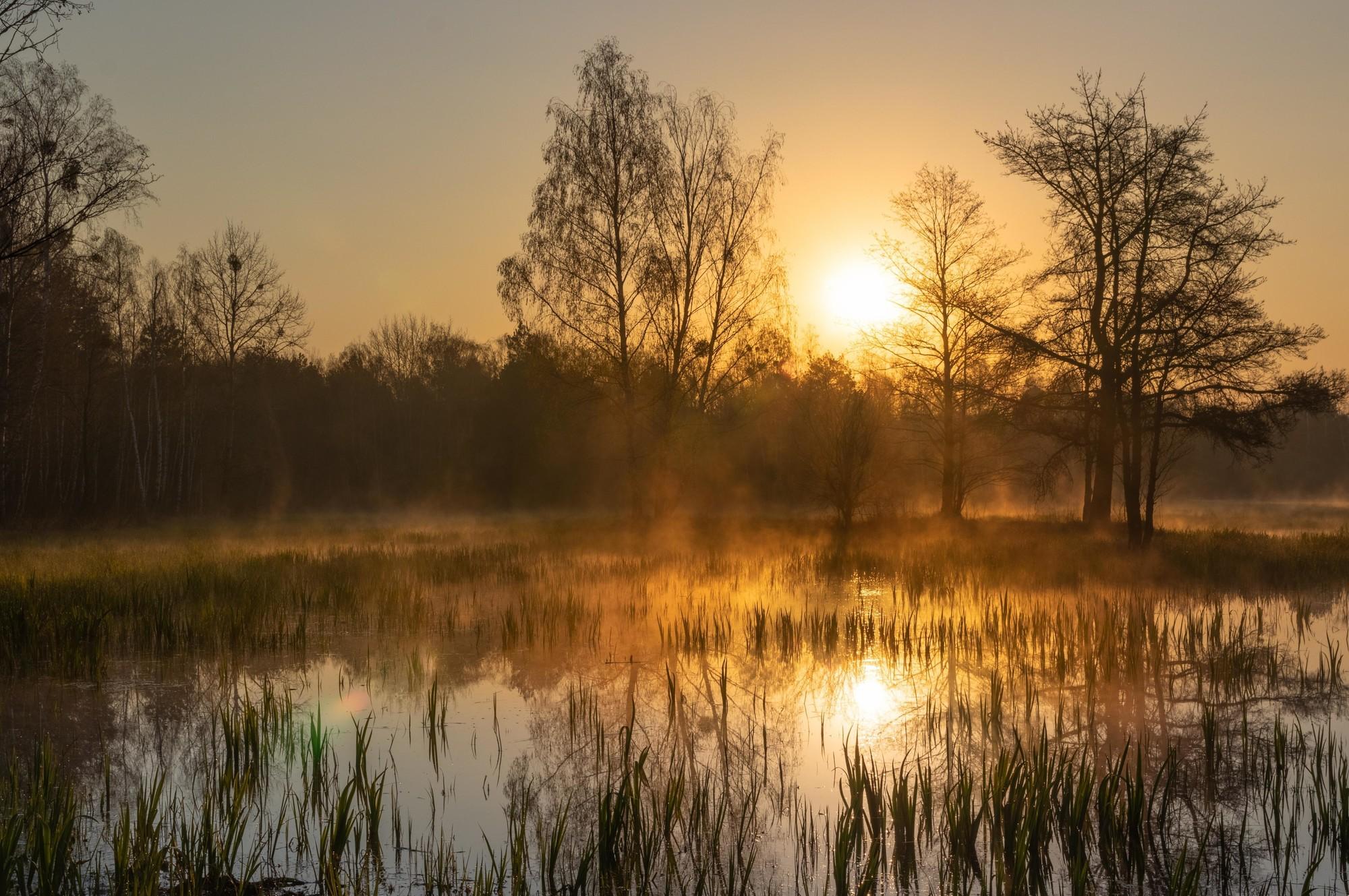 Kampinos National Park