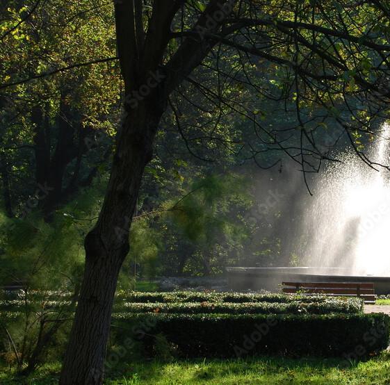 Saxon Garden