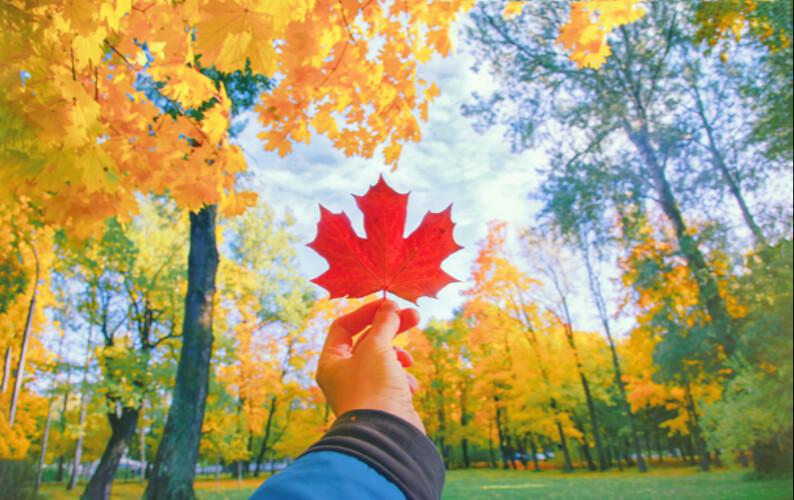Traveling To Canada This Winter? Here’s What We Recommend!