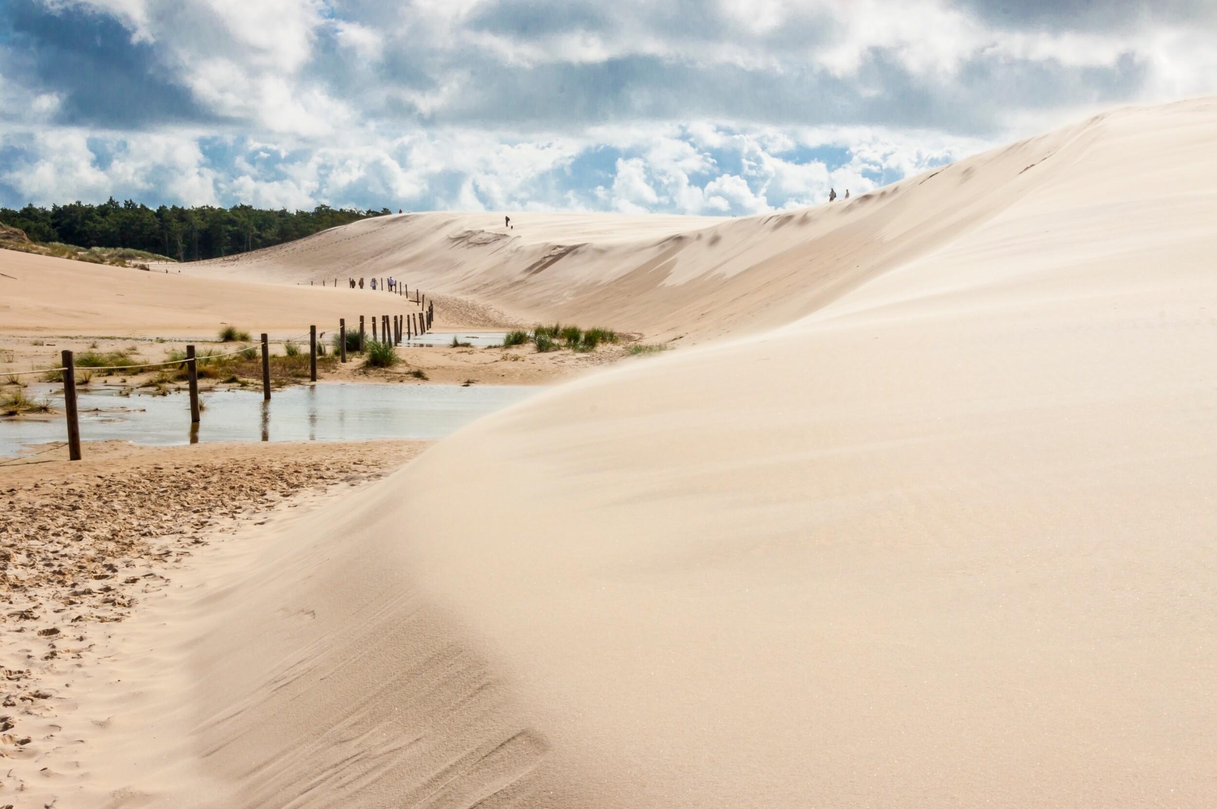 Łeba Sand Dunes