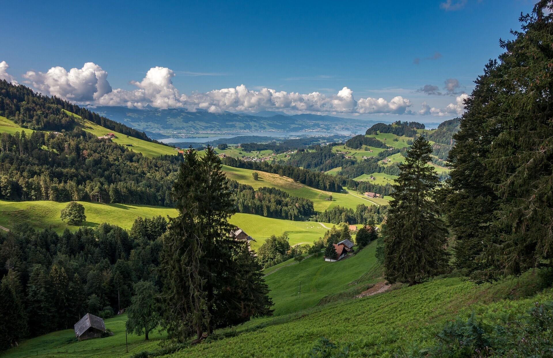 Things to Do in Zurich in Spring