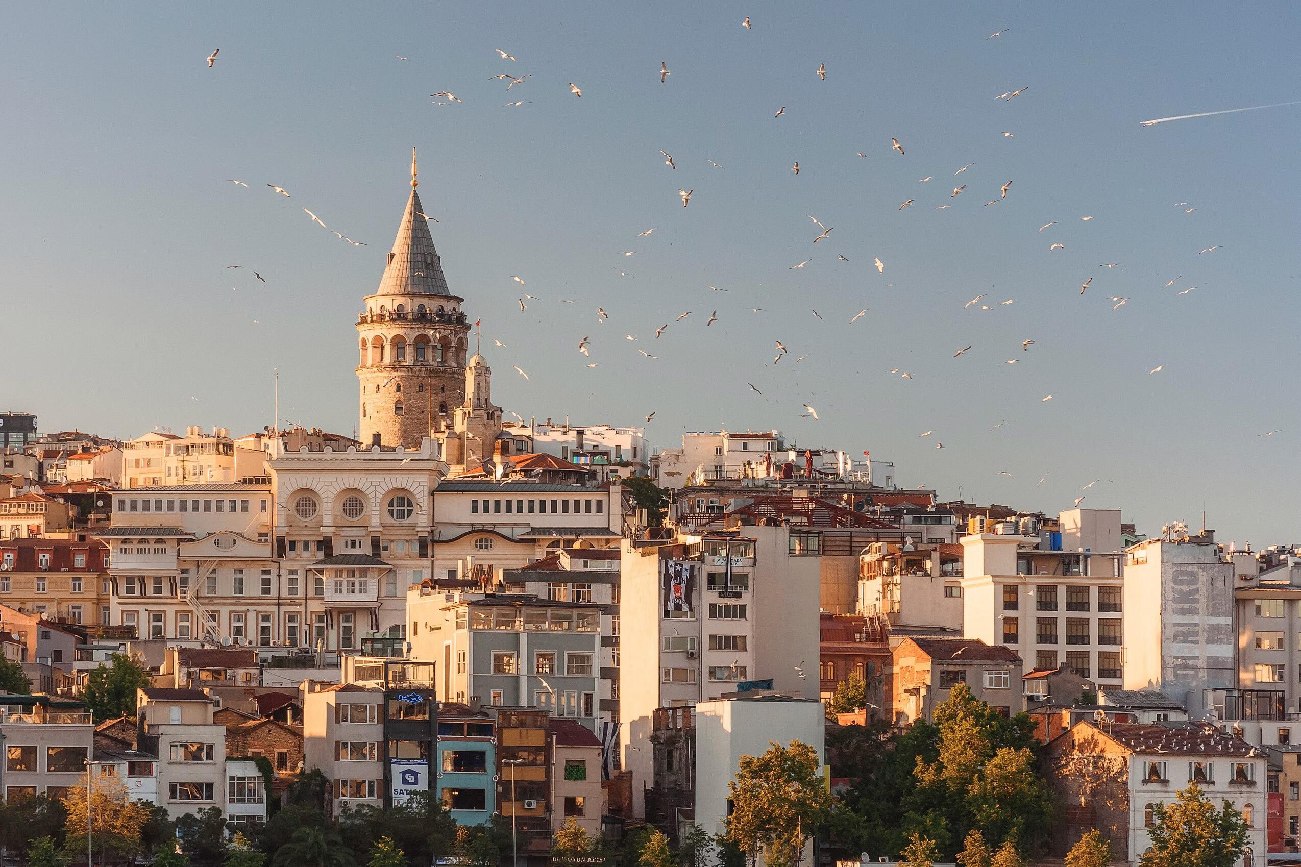 Cosmetic Surgery in Turkey: An Overview