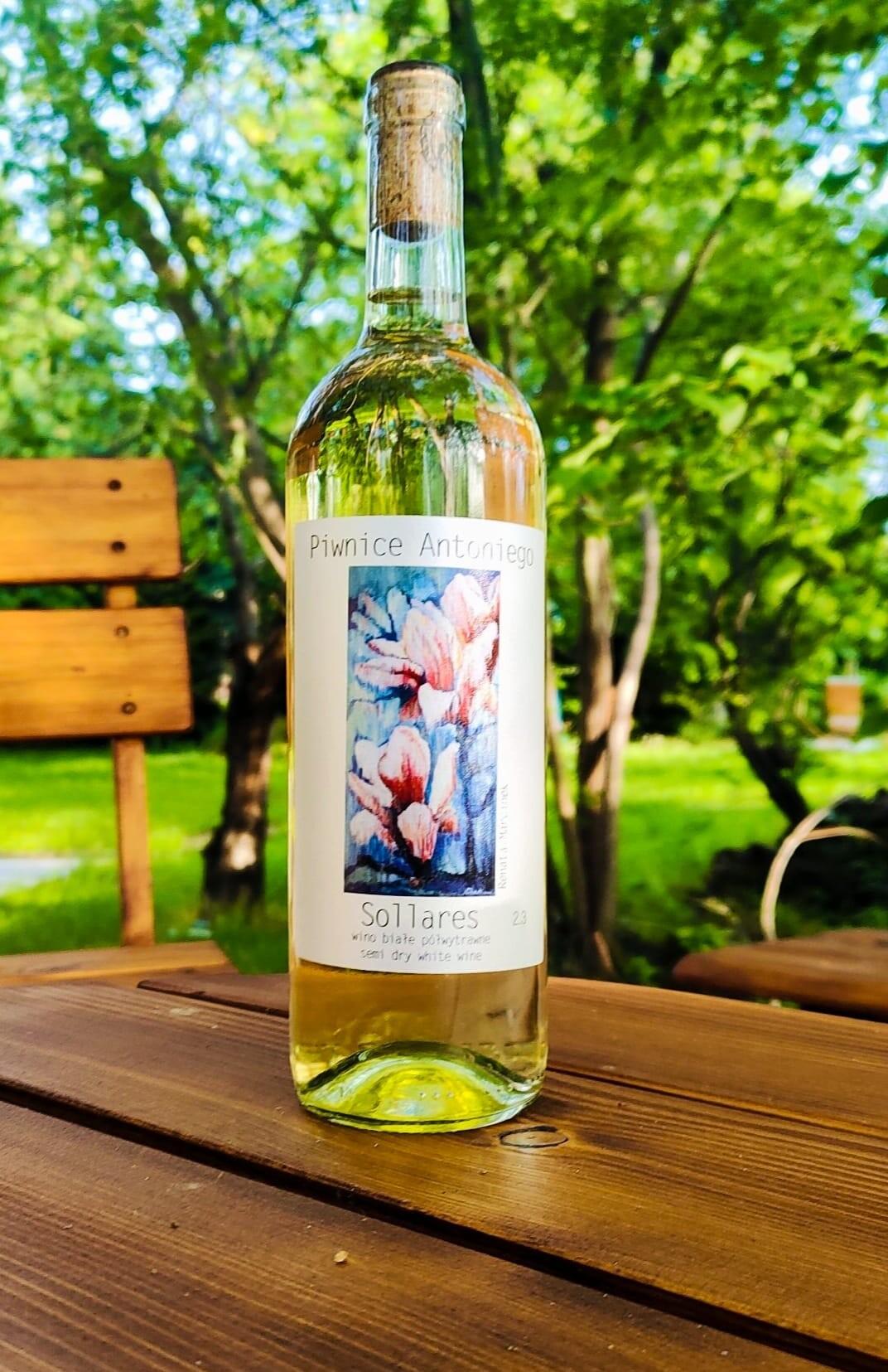 Piwnice Antoniego Winery