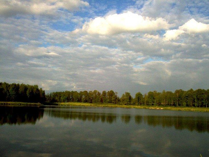 Katowice Forest Park
